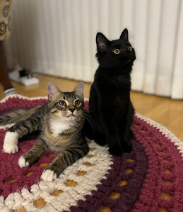 IMG_2024-01-17-162232