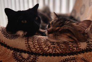 IMG_2025-08-08-200330