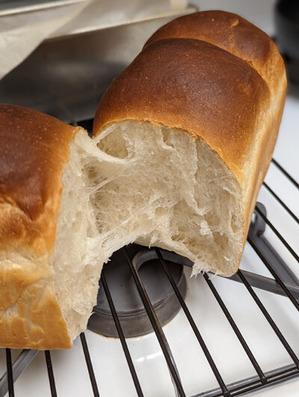 PXL_20211220_220736945.PORTRAIT