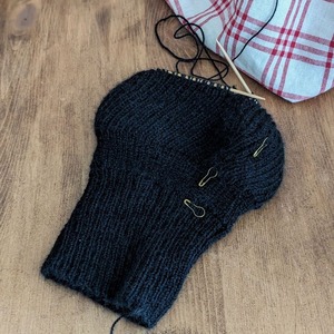 PXL_20240210_165606054.PORTRAIT