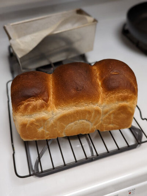 PXL_20211220_220648660.PORTRAIT