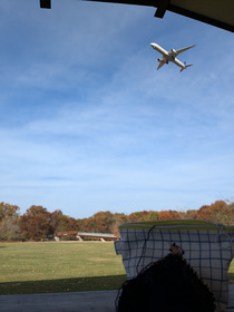 IMG_2024-10-30-161107