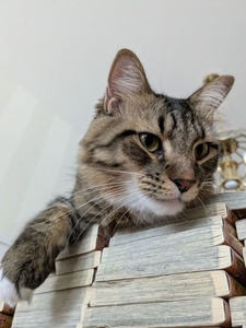 PXL_20250529_202455843