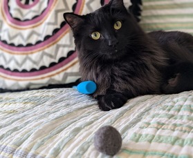 PXL_20241207_173532285.PORTRAIT