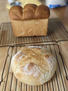 PXL_20230723_213835593.PORTRAIT