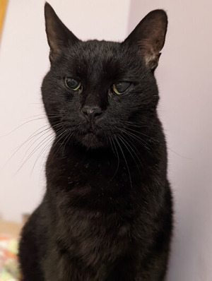 PXL_20220220_044520306.PORTRAIT