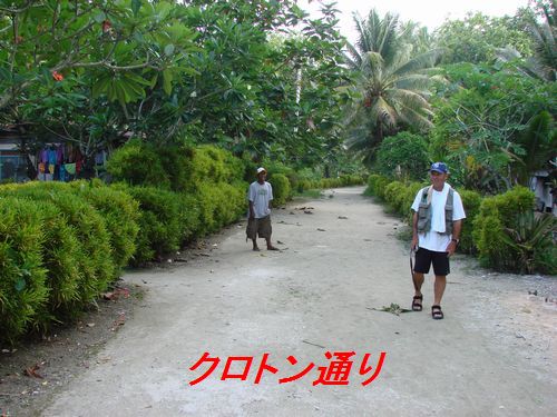 イメージ 2