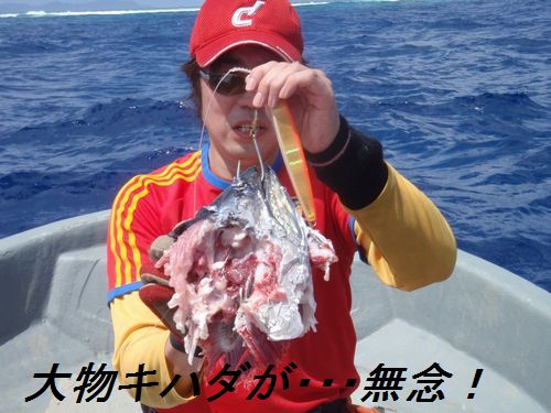 イメージ 4