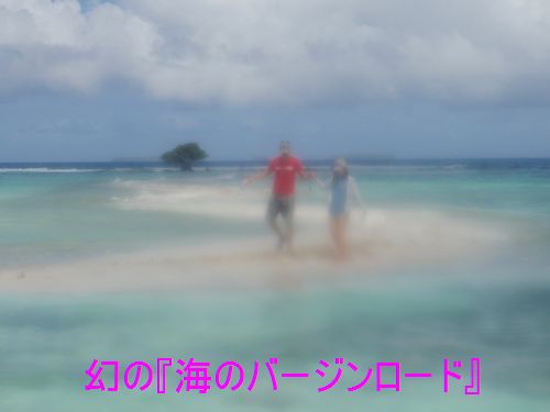 イメージ 6