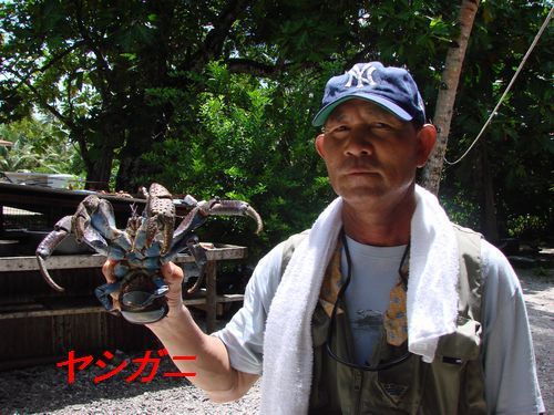 イメージ 9