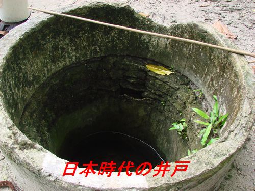 イメージ 10