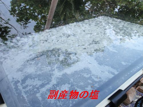 イメージ 6