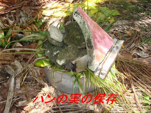 イメージ 5