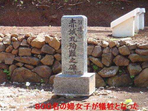イメージ 11