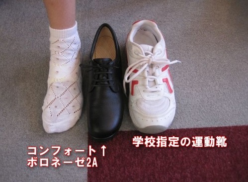 コンフォートボロネーゼ比較