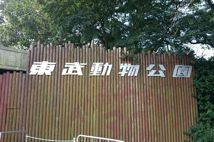 東武スーパープール 14年シーズン 屋外プール3日目 にちじょうざが