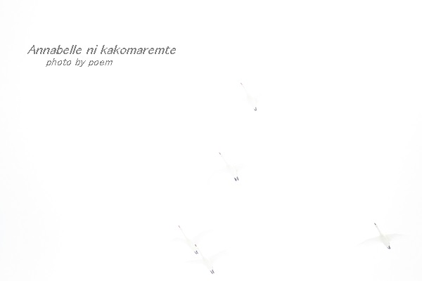 2016.3.13.1