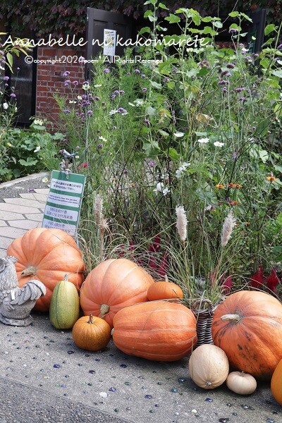 ガーデンピック　クリームソーダ様オーダー専用 ガーデンピック クリームソーダ様オーダー専用 楽天市場】【あす楽