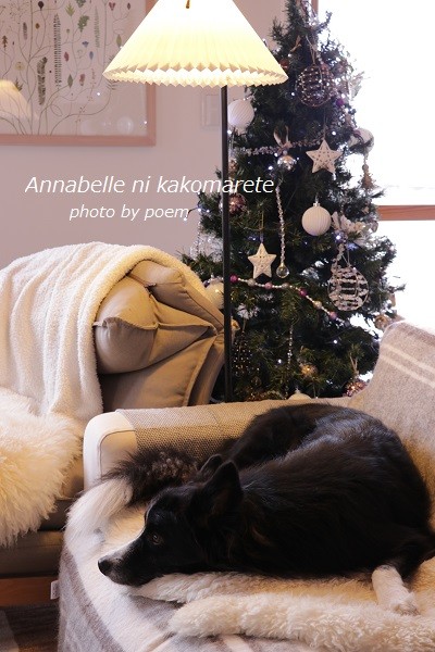 クリスマスツリーの足元は100均とイケアでラグジュアリー♪ : アナベルにかこまれて Powered by ライブドアブログ