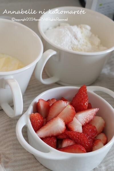 希少Martha Stewart 19ピース食器セット