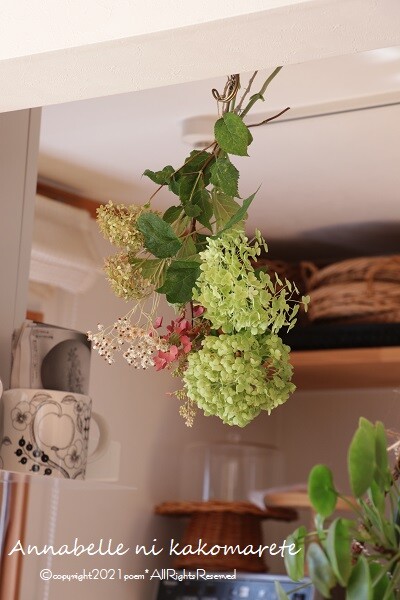 アナベルかご盛り うっとうしい 