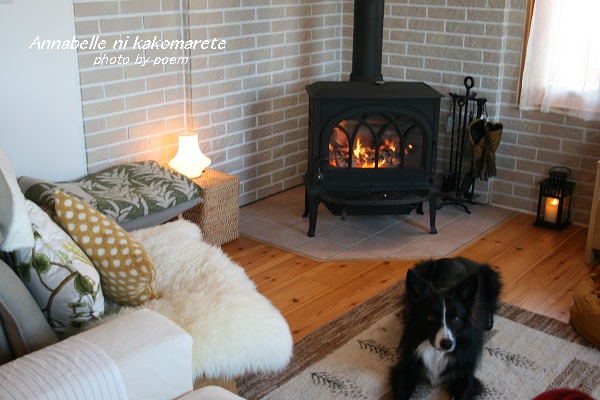ストーブ前のウィル