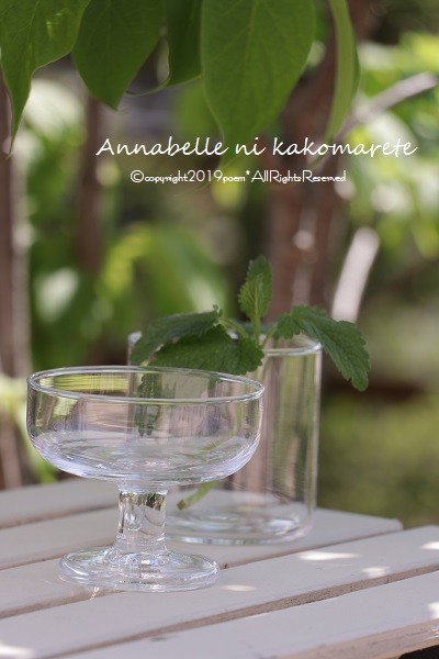 あるようでなかったこの形 無印良品の新商品はこの夏大活躍すること請け合いです アナベルにかこまれて Powered By ライブドアブログ