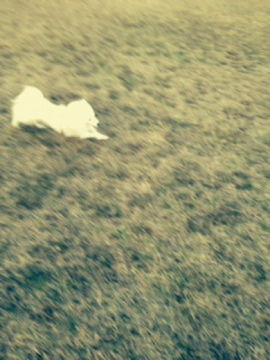 %E5%86%99%E7%9C%9F-4