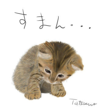 仔猫3-52すまん