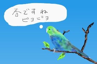 インコだけ1