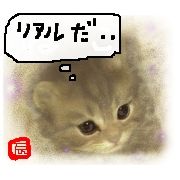 neko3