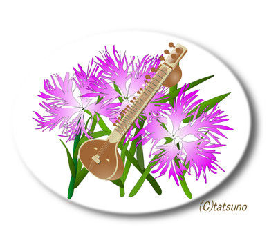 �ʤǤ���5-2��֥�����sitar2