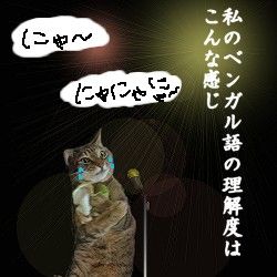 ねこ2ベンガル語の理解度