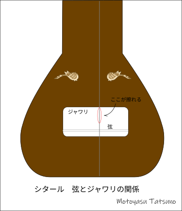 �������븹�ȥ�����δط�