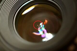 Canon EF 50mm F1.4 USM カビを分解・清掃 : 中古カメラ レンズの修理