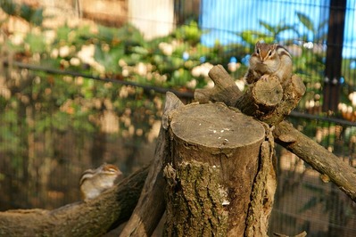 DSC09003s