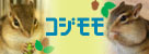 banner-01