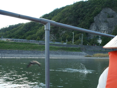 DSC04594