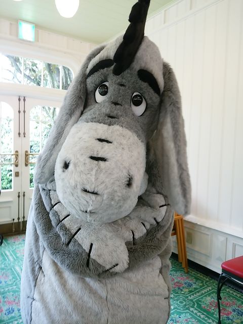初めてのディズニーキャラクターブレックファスト クリスタルパレス レストラン 年パス無しのディズニーブログ 初めてのディズニーキャラクターブレックファスト クリスタルパレス レストラン 年パス無しのディズニーブログ