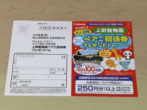 Olympic×カバヤ食品 上野動物園ペア