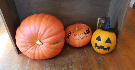 42653003_1792280167555069_8695131432139358208_n