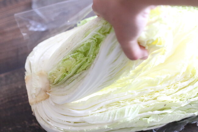 白菜のレンジ中華煮 白菜だけなのについお箸が伸びる美味しさ ぽかぽかびより レシピ 作り方 コツ Powered By ライブドアブログ