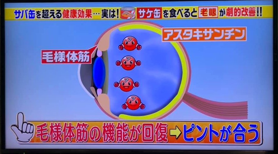 老眼改善効果ばつぐん サケ缶で簡単 鮭フレーク ぽかぽかびより レシピ 作り方 コツ Powered By ライブドアブログ 老眼改善効果ばつぐん サケ缶で簡単 鮭フレーク ぽかぽかびより レシピ 作り方 コツ Powered By ライブドアブログ