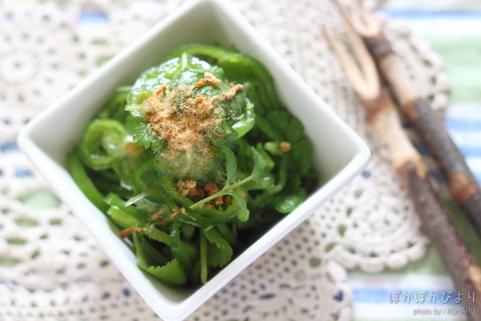 エスニック無限ピーマン Nadia大阪忘年会 ぽかぽかびより レシピ 作り方 コツ Powered By ライブドアブログ