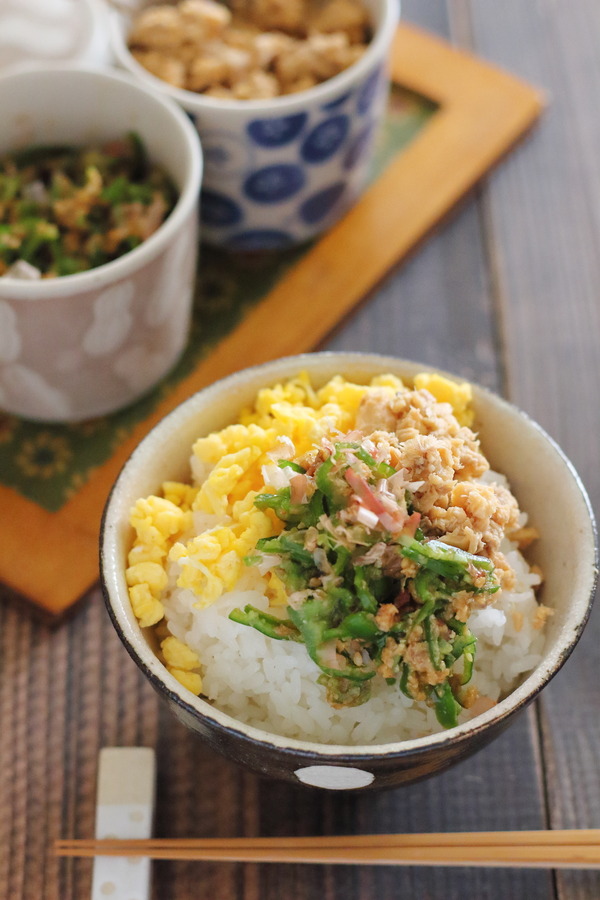 鮭やピーマンの3色そぼろご飯