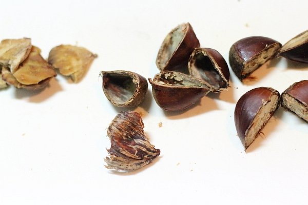 圧力鍋の二段調理で栗の 茹でvs蒸し 実験 ぽかぽかびより レシピ 作り方 コツ Powered By ライブドアブログ