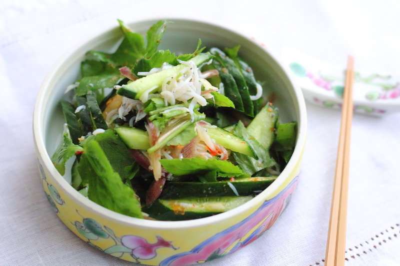抱えて食べたい 香味野菜のエスニック和え これ1本でエスニックな1品に ぽかぽかびより レシピ 作り方 コツ Powered By ライブドアブログ 抱えて食べたい 香味野菜のエスニック和え これ1本でエスニックな1品に ぽかぽかびより レシピ 作り方 コツ Powered By ライブドアブログ
