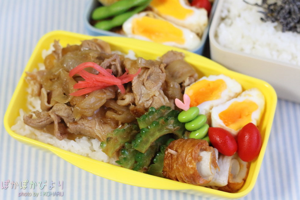 手抜き弁当の定番 豚丼 ぽかぽかびより レシピ 作り方 コツ Powered By ライブドアブログ 手抜き弁当の定番 豚丼 ぽかぽかびより レシピ 作り方 コツ Powered By ライブドアブログ