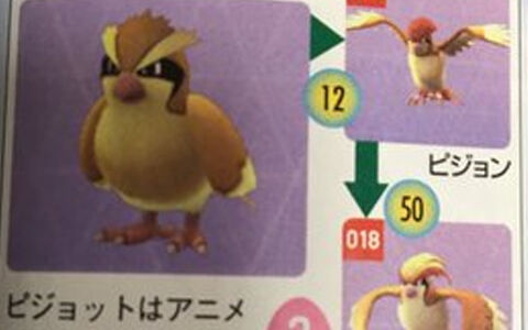 ポケモンgo攻略雑誌でピジョットがサトシに置き去りにされていたことが発覚 ポケブラリー