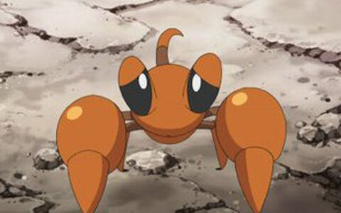 殻のないイシズマイとイワパレスほど弱々しいポケモンはいない ポケブラリー